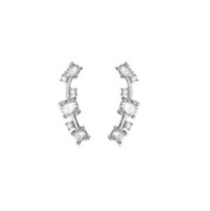 NWOT Cartliage Earrings